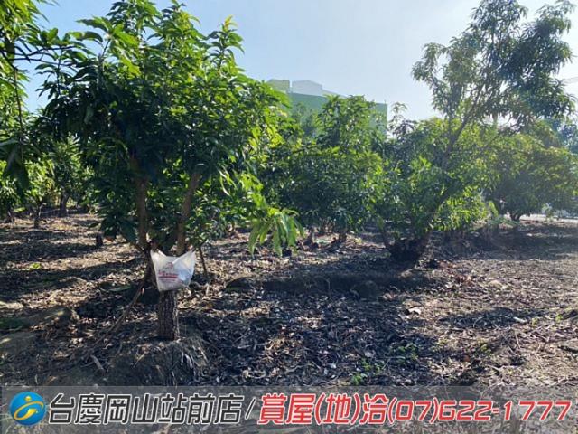 阿蓮建地-6