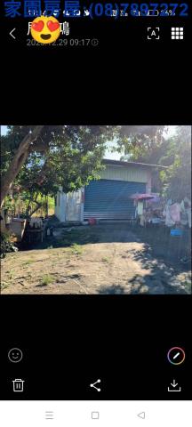 屏東高樹農地-9