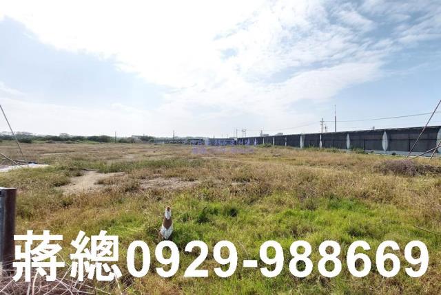 安南農地_養殖地-4