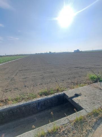 嘉義水上農地-4