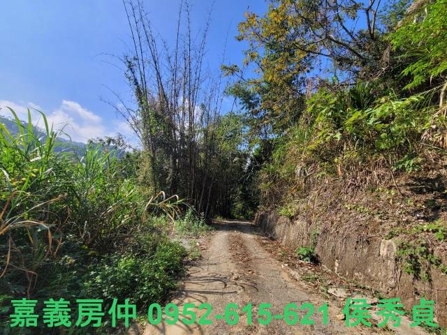 番路農地-7