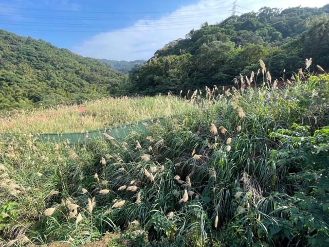 桃園龜山建地_工業地-3