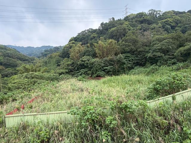 桃園龜山建地-9