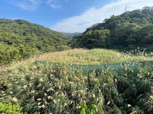 桃園龜山建地_工業地-8