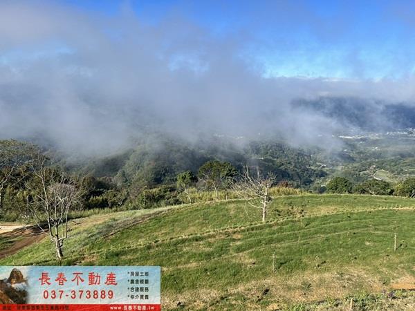 大湖農地_山坡地_休閒地-1