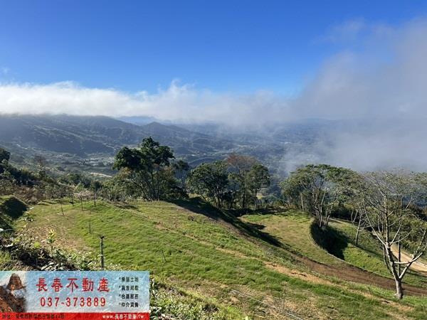大湖農地_山坡地_休閒地-2