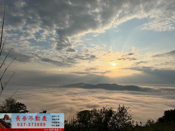 大湖農地_山坡地_休閒地-3