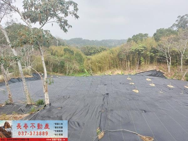 西湖農地_山坡地_休閒地-1