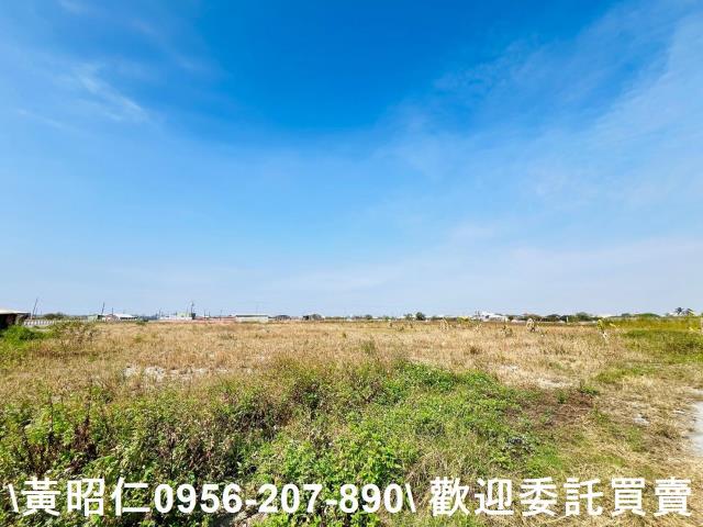 高雄湖內農地-2
