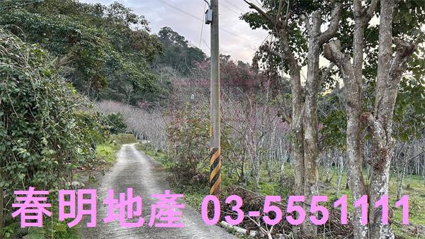 北埔農地-3