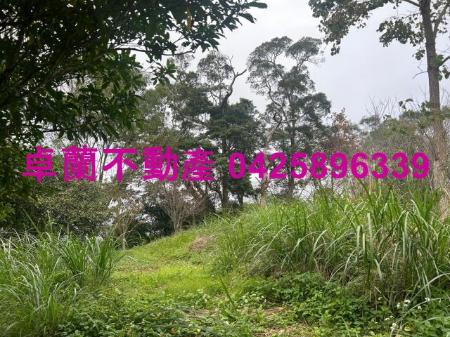 大湖山坡地_休閒地-3