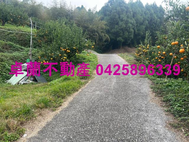 大湖山坡地_休閒地-4