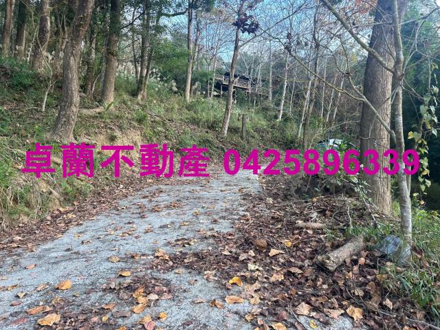 大湖山坡地_休閒地-3
