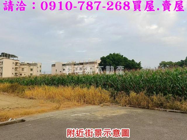 台南農地_建地-10