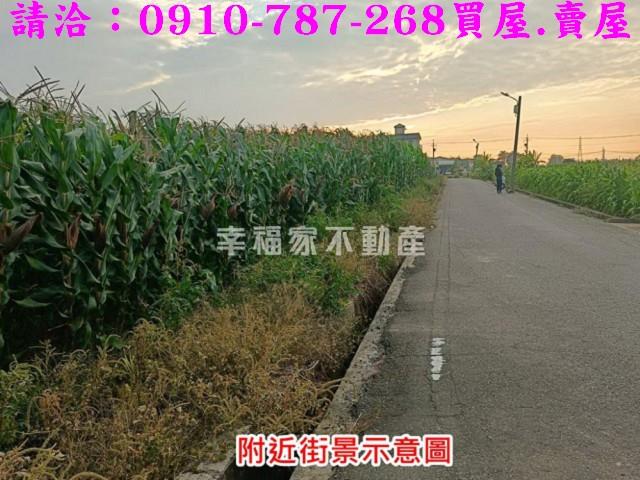 台南農地_建地-11