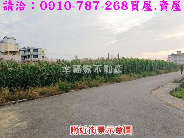 台南農地_建地-12
