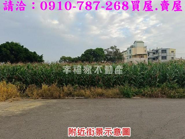 台南農地_建地-14