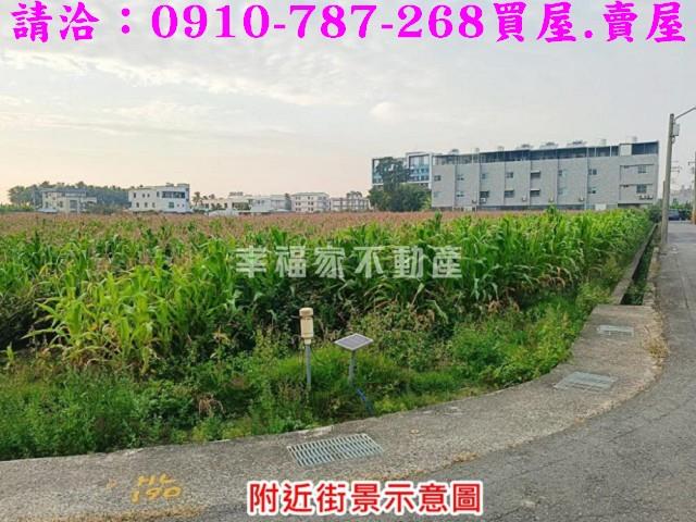 台南農地_建地-15