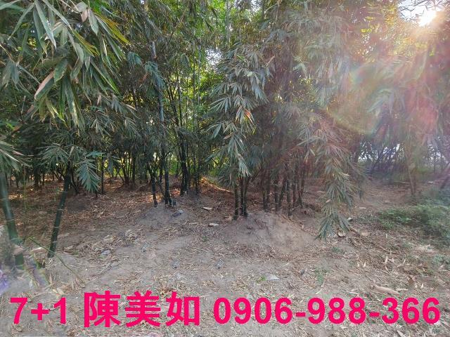 高雄大社建地-1