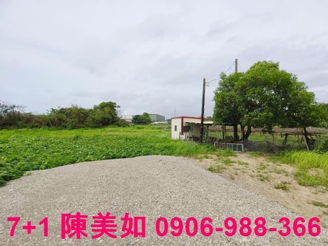 高雄大社農地-1