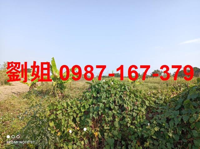 高雄農地-1