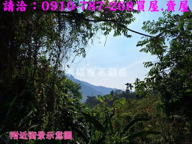 嘉義番路農地_建地-13
