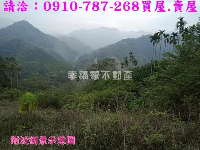 嘉義番路農地_建地-4