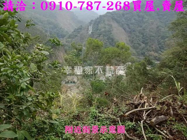 嘉義番路農地_建地-5