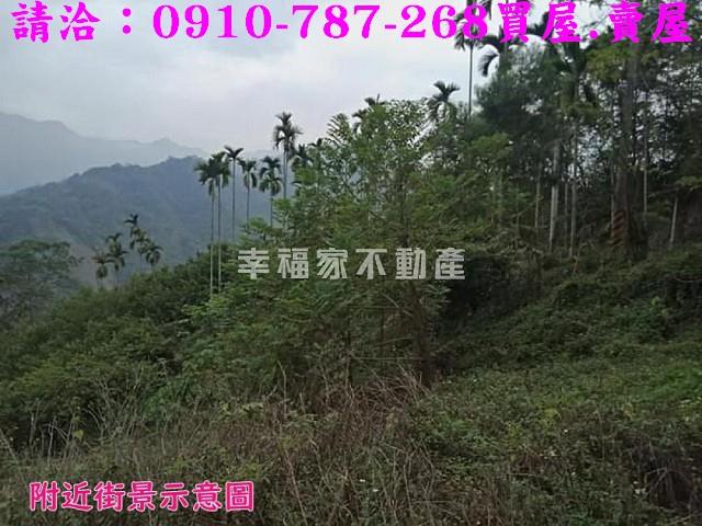 嘉義番路農地_建地-6
