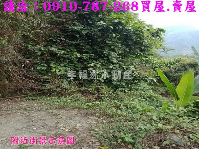 嘉義番路農地_建地-7