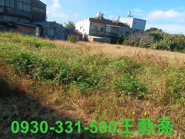桃園農地_休閒地-4