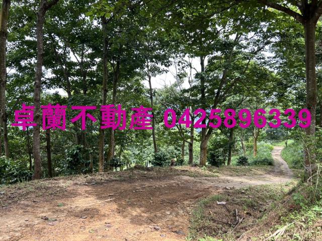 苗栗大湖農地_山坡地_休閒地-10