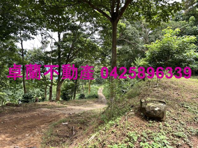 苗栗大湖農地_山坡地_休閒地-11