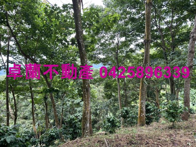 苗栗大湖農地_山坡地_休閒地-6