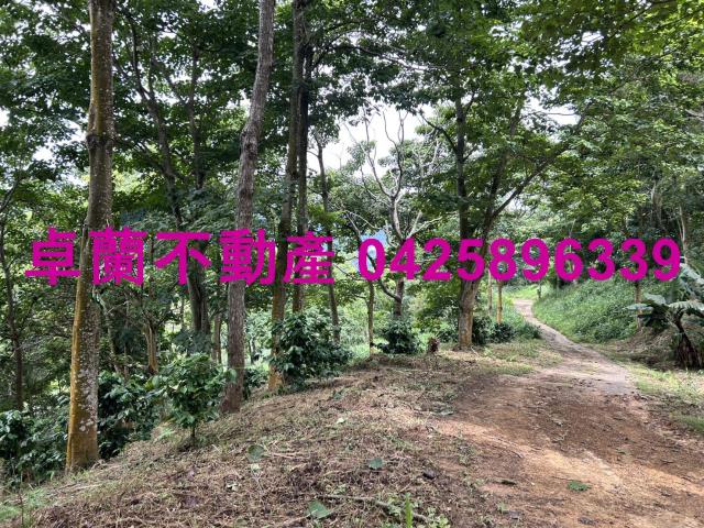苗栗大湖農地_山坡地_休閒地-7