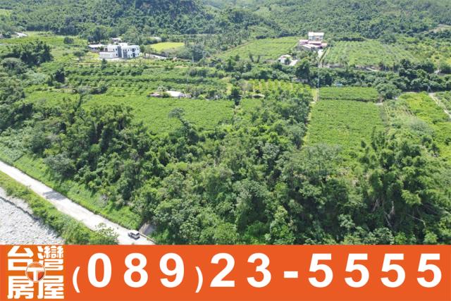 卑南農地-4