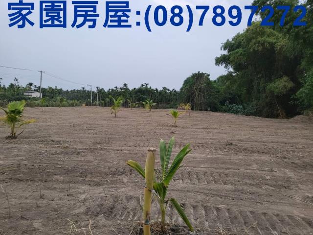 屏東南州農地-4