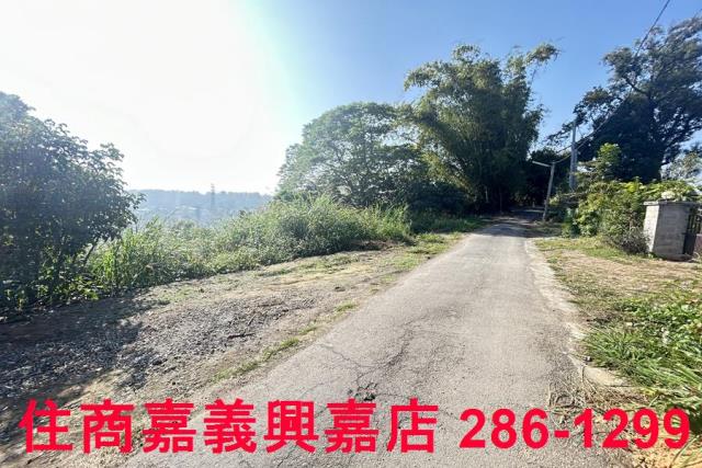嘉義農地-10
