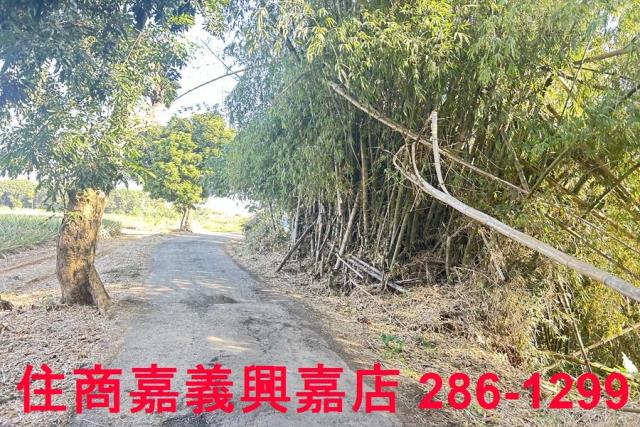 嘉義農地-11