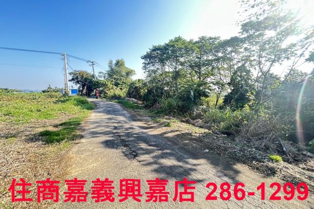嘉義農地-4