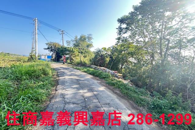 嘉義農地-5