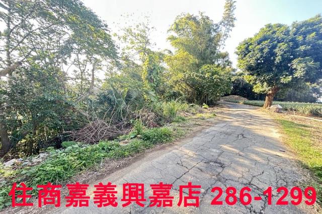 嘉義農地-6