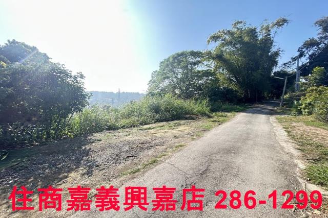 嘉義農地-7