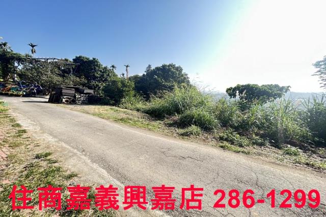 嘉義農地-9
