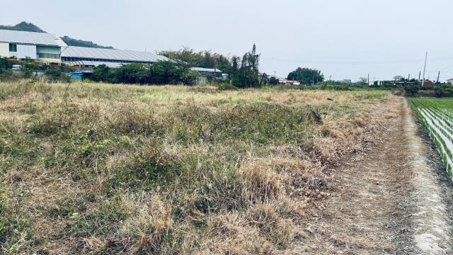 高雄林園工業地-3