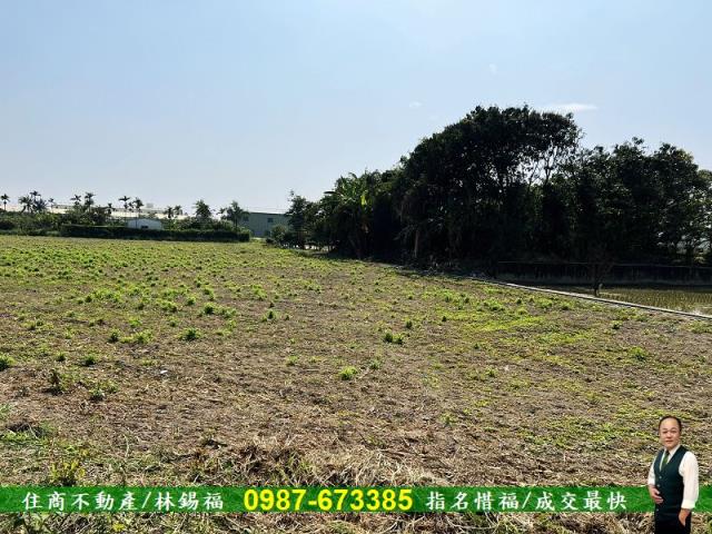 台南歸仁農地_廠房-2