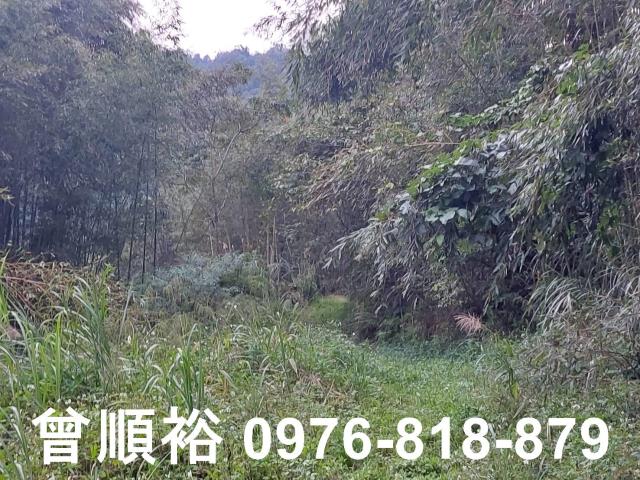 五峰農地-3
