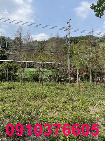 台中農地_休閒地_住宅地-5