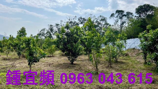 新竹農地_山坡地-12