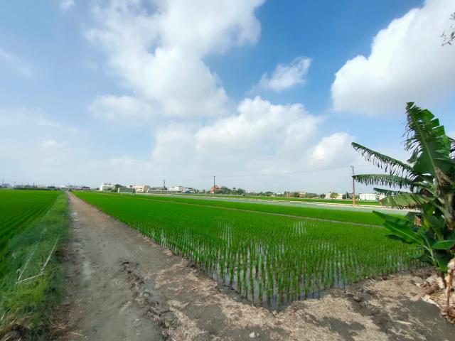 彰化二林農地-6